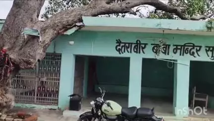 नुआंव: सूर्यपुरा दैतरा वीर बाबा मंदिर पर गिरा विशाल पीपल का पेड़, स्थानीय लोगों ने प्रशासन से की दुर्घटना की रोकथाम की मांग