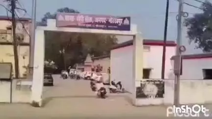 चौरीचौरा: चौरी चौरा में सांड के हमले से घायल बुजुर्ग की इलाज के दौरान हुई मौत