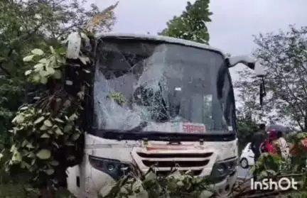गोंदिया: गोंदिया कोहमारा रोडवरील डव्वा खजरी दरम्यान पुन्हा शिवसाही बसचा अपघात मात्र जीवितहानी  टळली