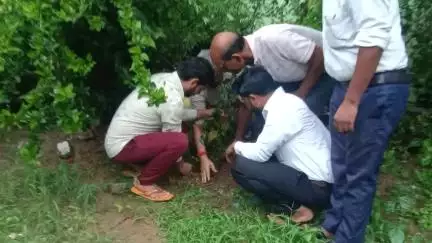 एक पेड़ मां के नाम अमरोहा नगर बूथ नंबर 4 पर