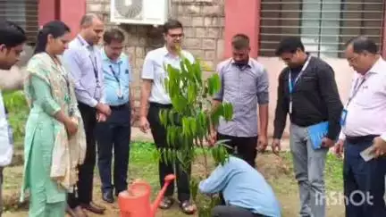 दौसा: भारतीय स्टेट बैंक की स्थापना दिवस पर जिला कलेक्ट्रेट में कलेक्टर देवेंद्र कुमार ने किया पौधारोपण