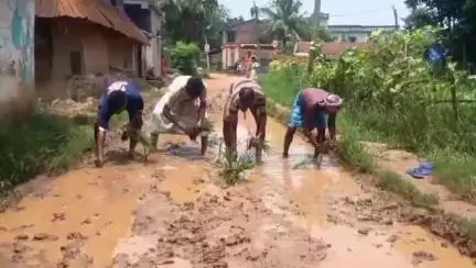 চন্দ্রকোনা ২: রাস্তার বেহাল দশা ধানবীজ রোপণ করে প্রতিবাদ গ্ৰামবাসীদের চন্দ্রকোনা ১ নম্বর ব্লকের ঘটনা #jansamasya