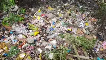 তেহট্ট ১: সাধারণ মানুষ সচেতন না হলে তেহট্টের খালকে বাঁচানো সম্ভব নয়, জানালেন সমাজসেবী