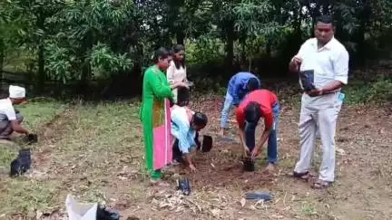 नारायणगंज: नारायणगंज चिरईडोंगरी में मप्र जन अभियान परिषद द्वारा 550 पौधों की नर्सरी तैयार