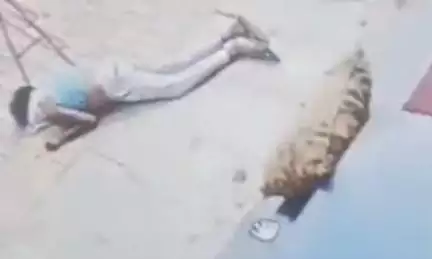 यूपी के झांसी में रेस्टोरेंट की सीढ़ियां उतरते समय मुंह के बल गिरा शख्स, 2 सेकेंड में हो गई मौत
Source: @manishsrnews