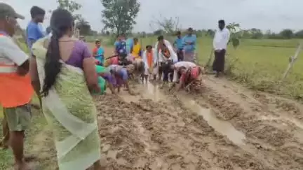బెల్లంపల్లి: పొట్టియాల గ్రామంలో మట్టి రోడ్డుపై వరి నాట్లు వేసి నిరసన తెలిపిన గ్రామస్తులు, గ్రామానికి రోడ్డు వేయాలని డిమాండ్ #localissue