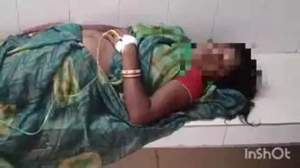 मड़ावरा: घर से भूसा भरते समय आदिवासी महिला को सांप ने डसा, परिजन इलाज के लिए सामुदायिक स्वास्थ्य केंद्र मड़ावरा लाए, महिला रेफर