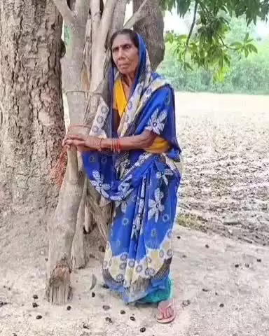 जलालपुर: देवरिया: धेनुकी गांव में भटकी महिला, परिजनों की तलाश जारी