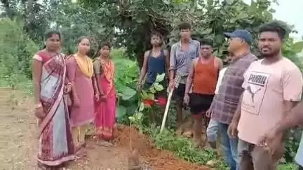 ତଲସରା: ଫୁଲବାରୀ ରାସ୍ତା ରେ ଚାରା ରୋପଣ କାର୍ଯ୍ୟକ୍ରମ ଅନୁଷ୍ଠିତ ଯୋଗ ଦେଲେ ଜିଲ୍ଲା ପରିଷଦ ସଭ୍ୟ