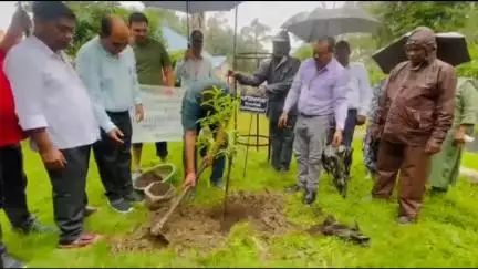 सिवनी: लोक निर्माण विभाग द्वारा पौधरोपण कार्यक्रम आयोजित, विधायक दिनेश राय भी हुए शामिल