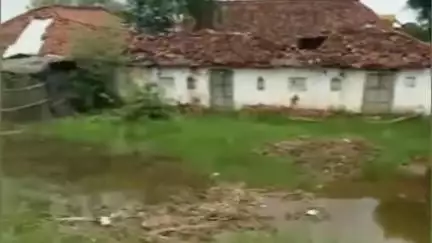मनगवां: मनगवां में CM राइज़ स्कूल के समीप हुआ जल भराव, युवक ने प्रशासन से पानी निकासी की व्यवस्था करने की मांग की
