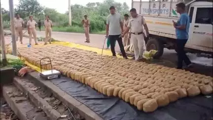 ସୋନପୁର: ତରଭା ବଡବନ୍ଧ ନିକଟରୁ ବିପୁଳ ପରିମାଣର ଗଂଜେଇ ଜବତ