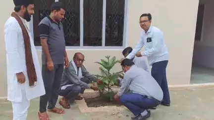 शाहबाद: पूर्व मुख्यमंत्री अखिलेश यादव के जन्मदिन पर बिल्किस इंटर कॉलेज और मलकापुर रोड पर लगाए गए पेड़