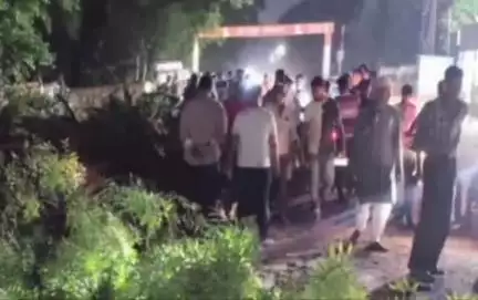 ग्वालियर गिर्द: ग्वालियर: कंपू में चलती बाइक पर गिरा पेड़, हादसे में एक की मौत