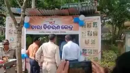 ଚମ୍ପୁଆ: ବଡବିଲ ବନାଞ୍ଚଳ କାର୍ଯ୍ୟାଳୟରେ ଚାରା ବିତରଣ କେନ୍ଦ୍ରର ହେଲା ଶୁଭାରମ୍ଭ