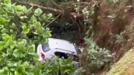अंबिकापुर: मैनपाट में घूमने आए पर्यटकों की कार खाई में गिरी, 4 लोग हुए घायल