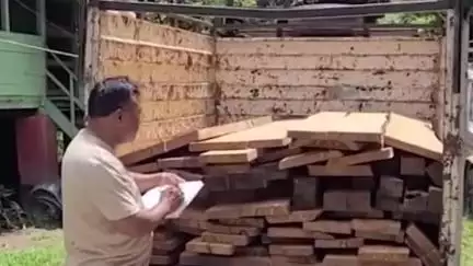 জলপাইগুড়ি: জলপাই মোড়ে কয়েক লক্ষ টাকার অবৈধ কাঠ উদ্ধার, গ্রেফতার ১