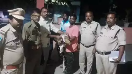 నాగలాపురంలోని నందనం హైవేపై రోడ్డు ప్రమాదంలో గాయపడిన జింక పిల్లను అటవీ శాఖ అధికారులకు అప్పగించిన పోలీసులు