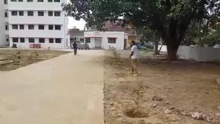 खबर औरैया से अजीतमल कोतवाली में पौधारोपण के बाद उसकी रखवाली की अहम जिम्मेदारी प्रशिक्षु आराक्षियों पर