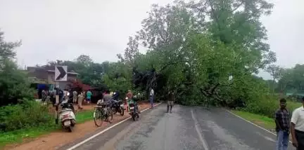 ठेठईटांगर: सिमडेगा-राउरकेला मार्ग पर केरया के पास पेड़ गिरने से 3 घंटे तक यातायात बाधित