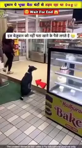 मोदीनगर: दुकान परआस लगाएं घंटे से भूखा बैठा तड़प रहा कुत्ता इस बेजुबान को नहीं पता खाने के पैसे लगते हैंअभी भी इंसानियत बाकी है