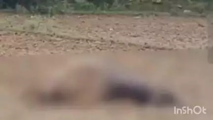 रामसनेही घाट: चंदौली गांव में विद्युत करंट की चपेट में आने से भैंस की हुई मौत