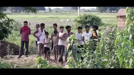 गुठनी: चिताखाल गांव के पास सड़क निर्माण में मिला नवजात शिशु का शव, मचा हड़कंप