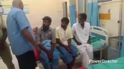 ಕೊಳ್ಳೇಗಾಲ: ಮೀಣ್ಯಂನಲ್ಲಿ ಹುಲಿಗಳ ಸಾವು ಪ್ರಕರಣದ ವಿಚಾರಣೆ ಪೂರ್ಣ, ಆರೋಪಿಗಳಿಗೆ ನ್ಯಾಯಾಂಗ ಬಂಧನ