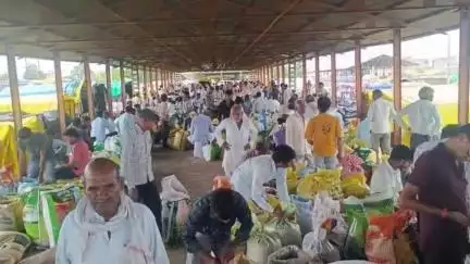 कालापीपल: कालापीपल की कृषि उपज मंडी में सोयाबीन की हुई बंपर आवक, ₹4256 प्रति क्विंटल रहे अधिकतम भाव