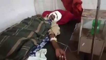 टीकमगढ़: रामटोरिया के पास भालू ने हमला कर एक व्यक्ति को किया घायल, सीएचसी से जिला अस्पताल किया गया रेफर