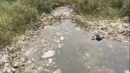 पाली: शहर के लोगों को पिलाया जा रहा दूषित सिवरेज पानी, करण सिंह की चली में लोगों ने किया हंगामा