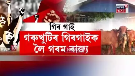 গৰুখুটিৰ গিৰগাইক লৈ আজিও গৰম ৰাজ্য, Sipajhar গৰুখুটিত কংগ্ৰেছৰ প্ৰতিবাদ N18V