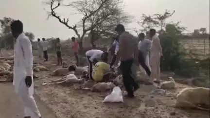 घड़साना: घड़साना अनुपगढ मार्ग पर अज्ञात ट्रक ने तीन युवकों और 200 भेड़ों को कुचला, एक व्यक्ति की मौत, 2 घायल