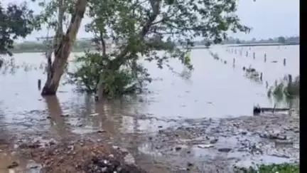 अम्बाला: सढोरा क्षेत्र से दोसड़का पहुंचा पानी, खेत जलमग्न, मुलाना व बराड़ा क्षेत्र में प्रवेश कर सकता है