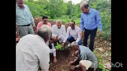 नरसिंहगढ़: विधायक प्रतिनिधि व भाजपा कार्यकर्ताओं ने 300 पौधे लगाए