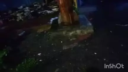 *------------आसरा की रसोई------------* 01/02/2025 
 की भोजन व्यवस्था *माननीय श्री  बेनीराम अड़माचे जी पटवारी सिवनी