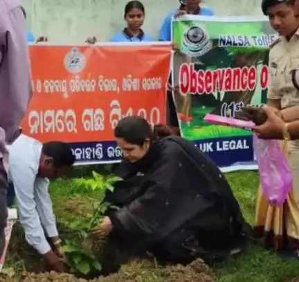 କେସିଙ୍ଗା: ଦେଓଗାଁରେ ବିଚାରପତିଙ୍କ ଦ୍ୱାରା ଶୁଭାରମ୍ଭ କଲେ ବନ ମହୋତ୍ସବ ଓ ବୃକ୍ଷ ରୋପଣ କାର୍ଯ୍ୟକ୍ରମ l
