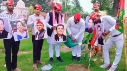 मिश्रिख: मिश्रिख में पूर्व सीएम अखिलेश यादव के जन्मदिन पर सपा कार्यकर्ताओं ने किया वृक्षारोपण, ईश्वर से लंबी उम्र की की कामना