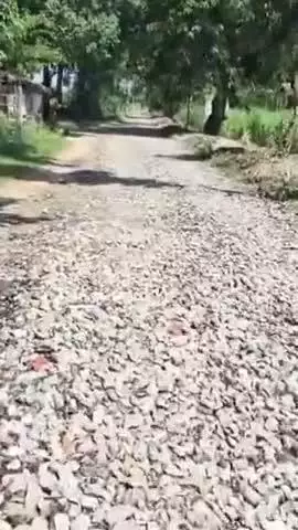 निघासन: करदहिया गांव के लोग अधूरी सड़क पर चलने को मजबूर, ठेकेदार बेखबर
