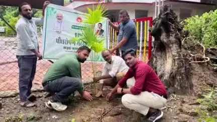 सिलवानी: लोक निर्माण विभाग द्वारा पौधारोपण महाअभियान के तहत सिलवानी रेस्ट हाउस में पौधारोपण किया गया