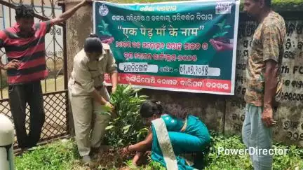 ବାଙ୍ଗିରିପୋଷି: ଧୋବଣୀଶୋଳ ଗ୍ରାପପଞ୍ଚାୟତ ରେ ବନ ମୋହସ୍ତବ୍ ଉପଲକ୍ଷେ ବୃକ୍ଷ ରୋପଣ