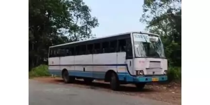 കുന്നത്തൂർ: കുന്നത്തൂർ പാലത്തിന് സമീപം ബസുകൾ കൂട്ടിയിടിച്ച് അപകടം
