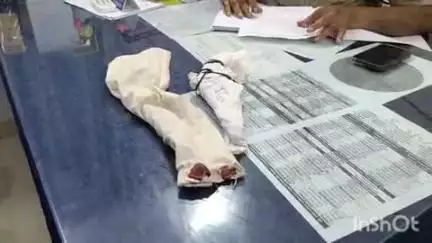 डबरा सिटी पुलिस ने अवैध कट्टे लेकर घूम रहे दो युवकों को पकड़ा, आर्म्स एक्ट के तहत केस दर्ज