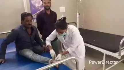 परसिया: परासिया के मंगली बाजार में सब्जी की दुकान लगाते समय एक व्यक्ति को बिच्छू ने काटा, अस्पताल में हुआ उपचार