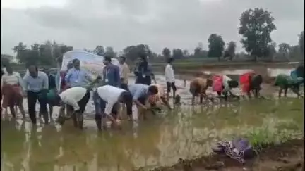 आरमोरी: कृषी दिनानिमित्त जिल्हा परिषदेचे अधिकारी पाथरगोटा थेट शेतकऱ्यांच्या बांधावर