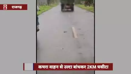राजगढ़ में मृत गाय को कचरा वाहन से 2KM घसीटा, नगर परिषद की लापरवाही पर भड़के लोग