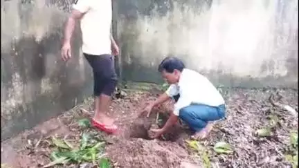 କେନ୍ଦୁଝର ସହର: କେନ୍ଦେଇପୋଷି ସେବା ସମବାୟ ସମିତି ପରିସରରେ  ବୃକ୍ଷ ରୋପଣ କାର୍ଯ୍ୟକ୍ରମ ଅନୁଷ୍ଠିତ
