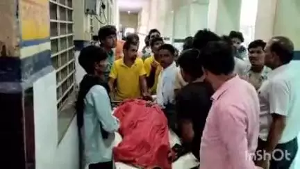 बाड़ी: खानपुर मीणा गांव में पशुओं को चारा डाल रही महिला को सांप ने काटा, जिससे हुई मौत