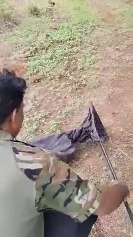 रावतभाटा: भैंसरोड़गढ़ में एक ही दिन दो सांपों का रेस्क्यू, वन विभाग ने बरसात में सतर्क रहने की अपील की