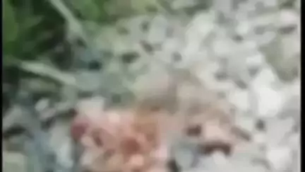 सहजनवा: बेलौहा गांव के सामने एक व्यक्ति ने लखनऊ से गोरखपुर आ रही गोमती एक्सप्रेस के आगे कूदकर की आत्महत्या